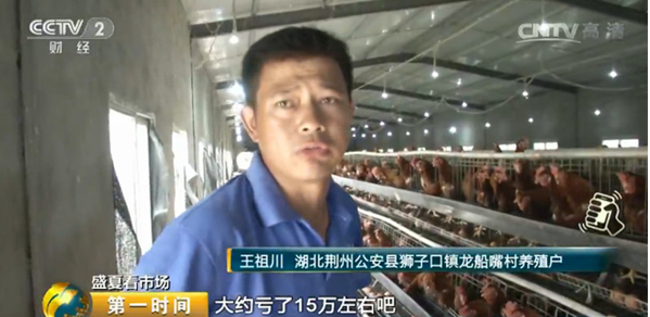 雞蛋價(jià)格跌跌不休！最低腰斬一半
