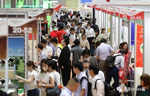 江西天凱樂首秀日本國際食品展，椰子灰冰淇淋榮獲JFEX AWARDS金獎！|餐飲界