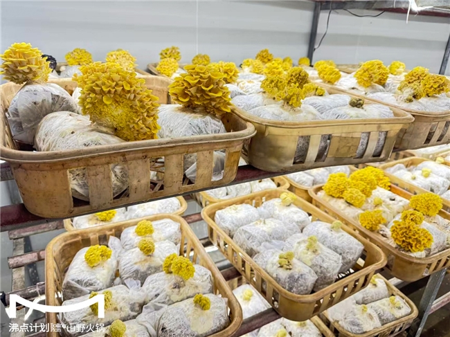 沸點計劃發(fā)布“山海供應(yīng)鏈”戰(zhàn)略：投建十大生態(tài)基地，護航萬店擴張