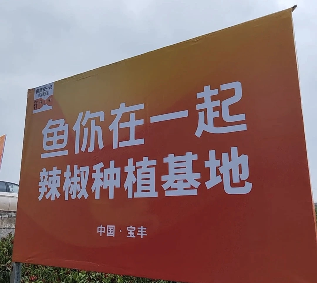 魚你在一起榮獲兩項大獎，展現新質生產力下的雇主品牌變革