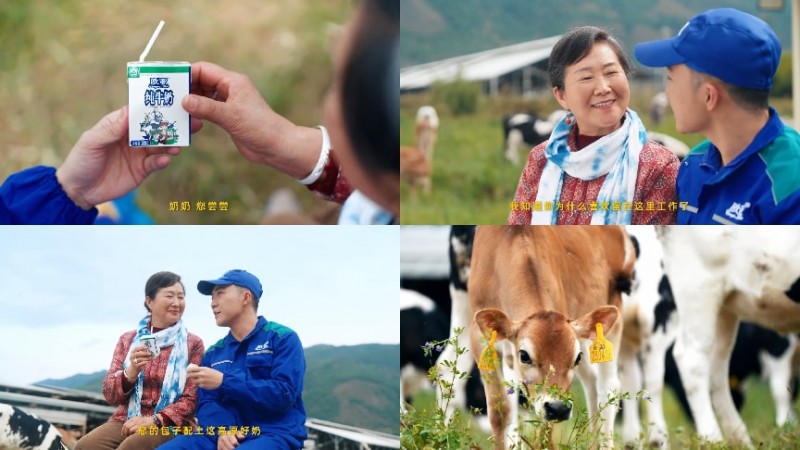 拒絕做系統的“牛馬”，去云南做個“牧云人”：歐亞牛奶如何治愈都市人的精神內耗？