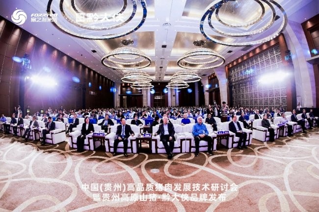 黔大俠品牌正式發(fā)布，貴州高原山豬走向全國(guó)餐桌